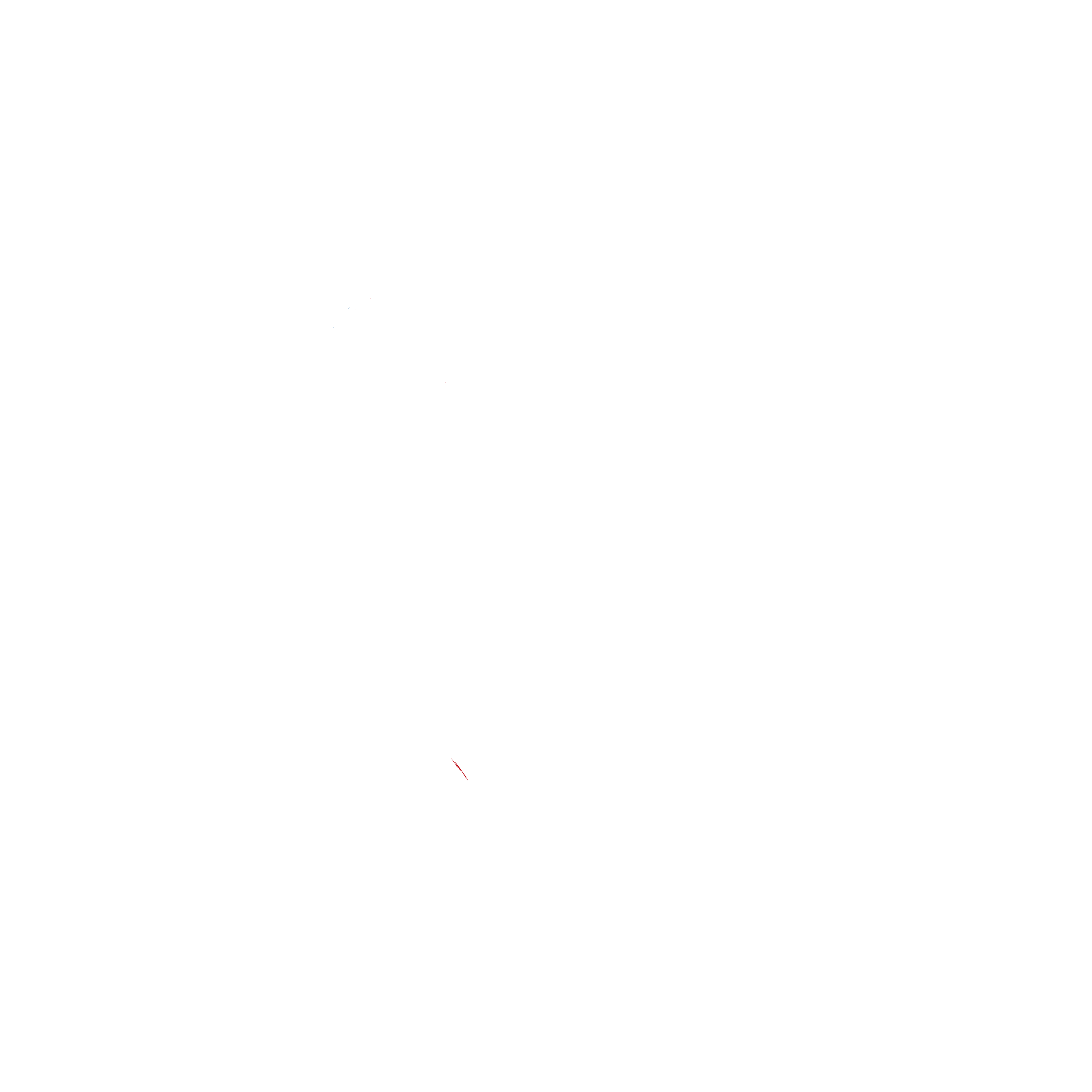 Team Vivere Sport ASD